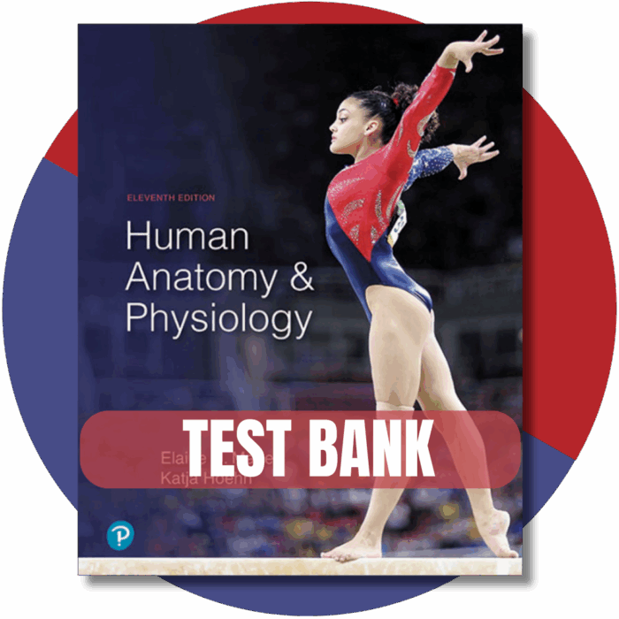 Test bank - Human Anatomy & Physiology 11th Edition By (Marieb, 2019)
