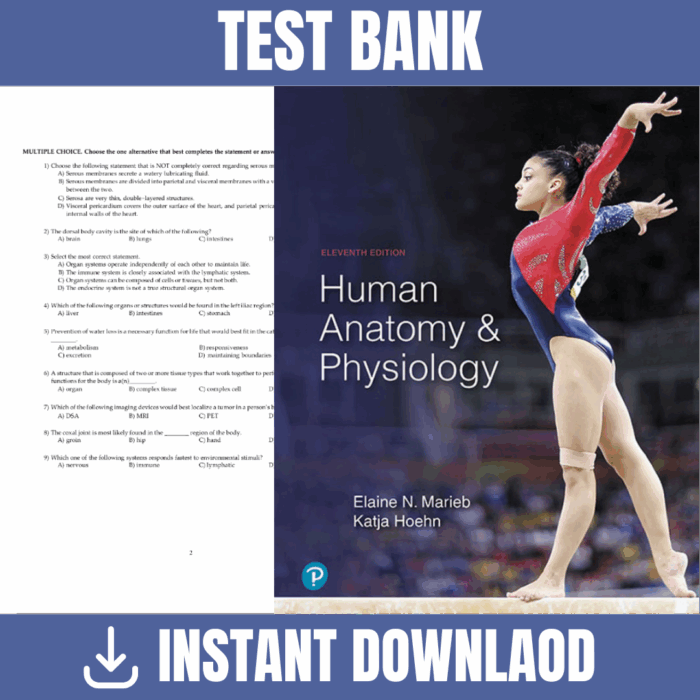 Human Anatomy & Physiology 11th Edition (Marieb, 2019) - Test Bank